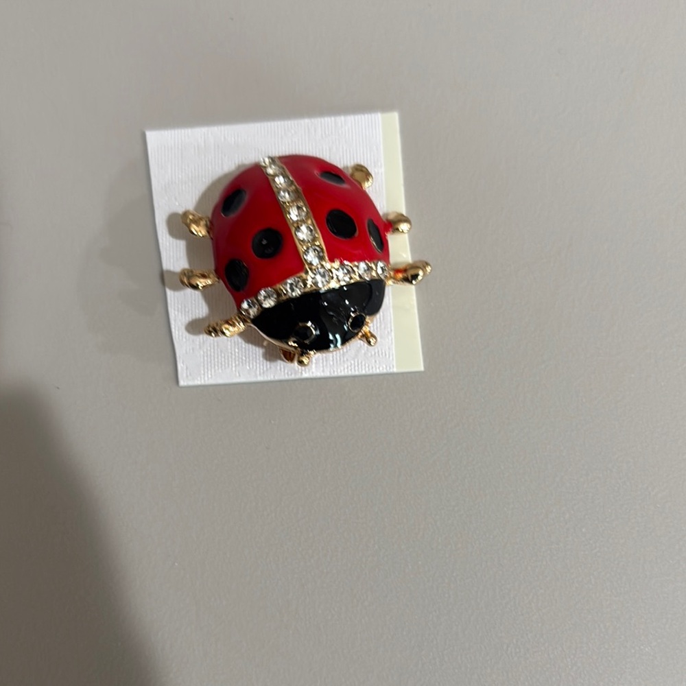 Charming Ladybug Brooch - Red and Black